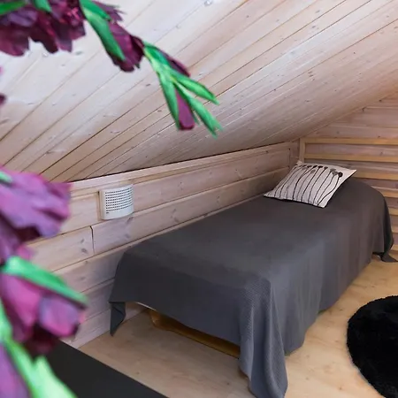 公寓 Taruilevi Visit