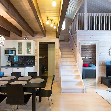 Taruilevi Visit 公寓 列维