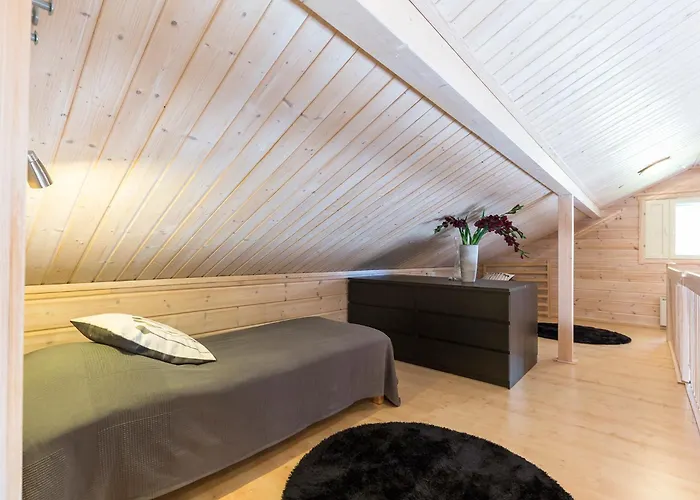 Taruilevi Visit * Levi