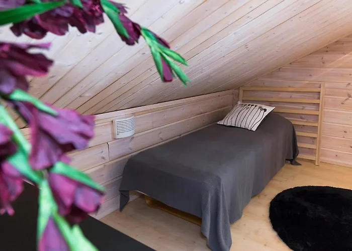 Huoneisto Taruilevi Visit