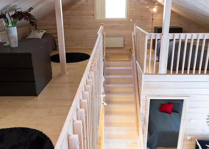 Taruilevi Visit * Levi