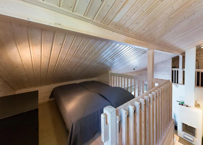 Taruilevi Visit * Levi